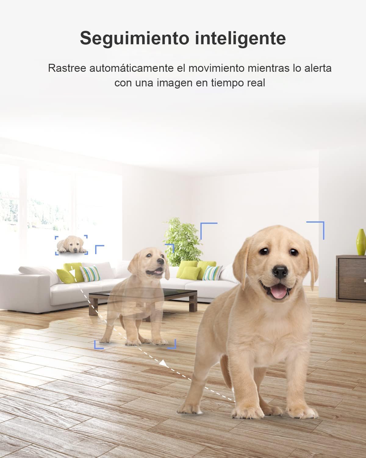 Cámara de seguridad interior