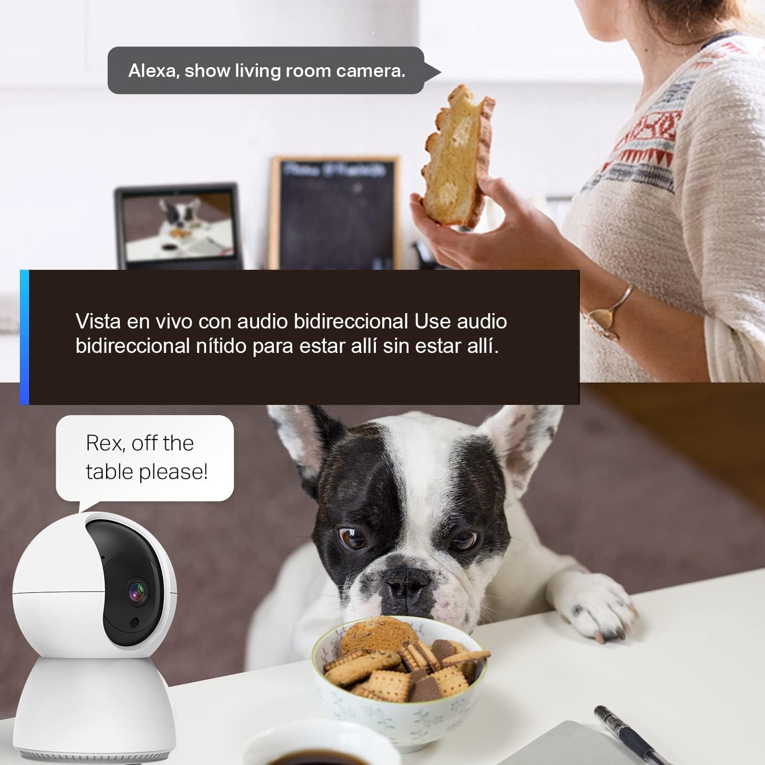 Cámara de seguridad interior