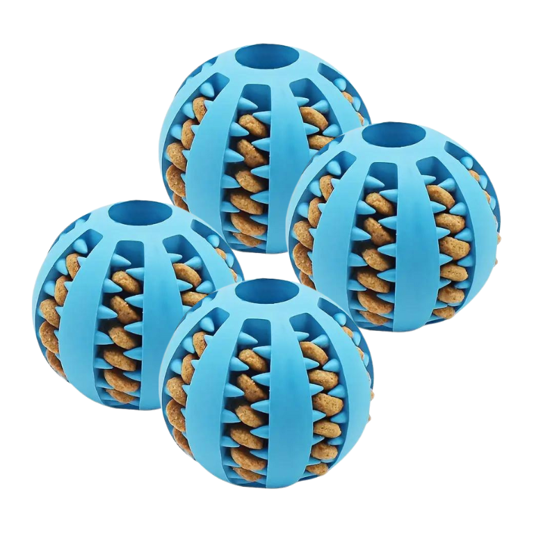 Paquete de 4 pelotas para perro
